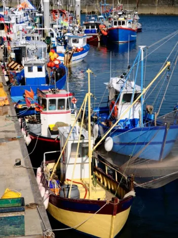 Produit Port de Quiberon, Bretagne Image