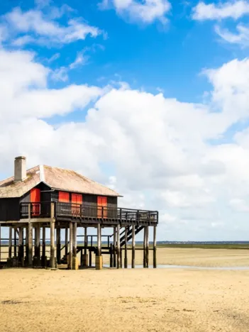 Produit Le Bassin d'Arcachon Image