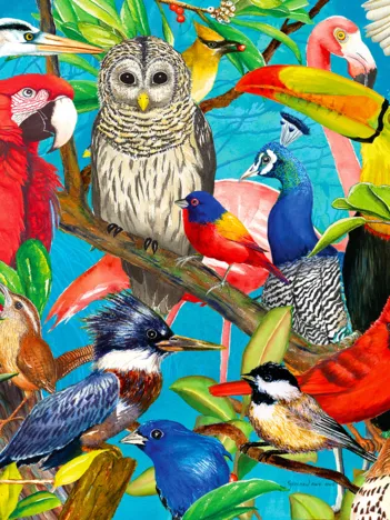 Produit La Frénésie des Plumes Image