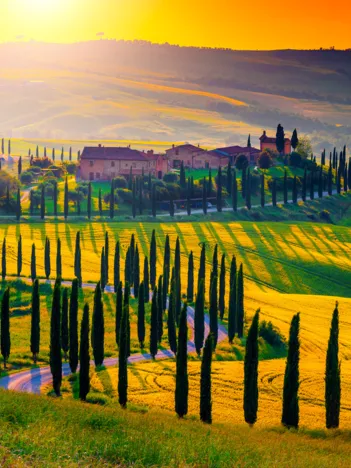 Produit Coucher de Soleil en Toscane Image