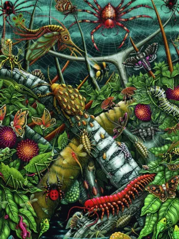 Produit Tisseurs d'Orbes Image