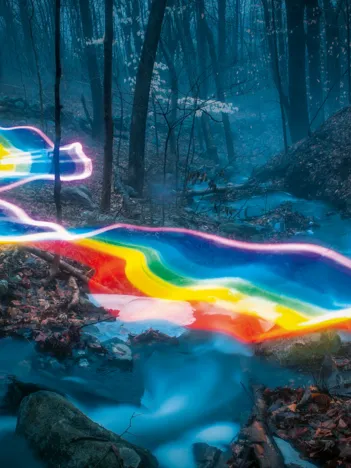 Produit Rainbow Forests Image