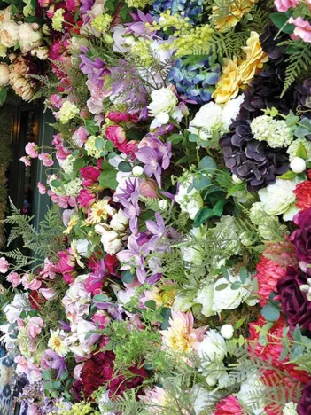 Produit Blooming Lovely Image