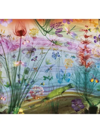 Produit See Through Nature Image