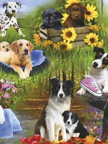 Produit Pièces XXL - Chiens Image