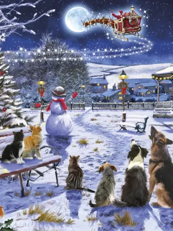 Produit Magic by Moonlight Image