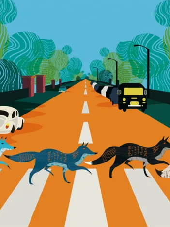 Produit Abbey Fox Road Image