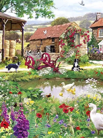 Produit Duck House Image