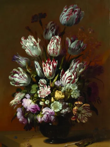 Produit Collection Rijksmuseum Amsterdam - Bollongier : Nature Morte, Tulipes Image