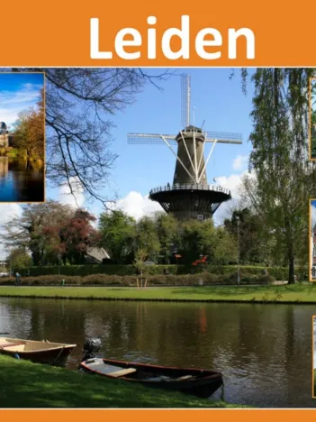 Produit Leiden Image