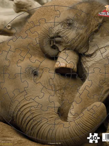 Produit Eléphanteau Image