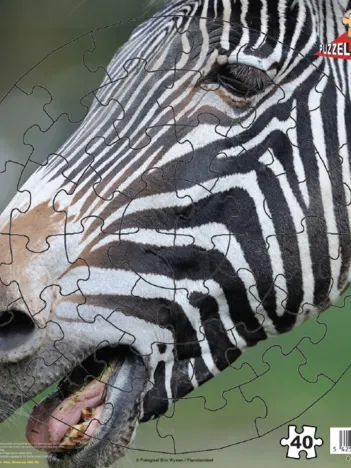 Produit Zèbre Image