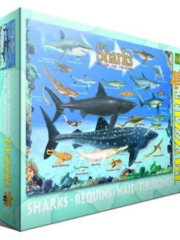 Produit Requins Image