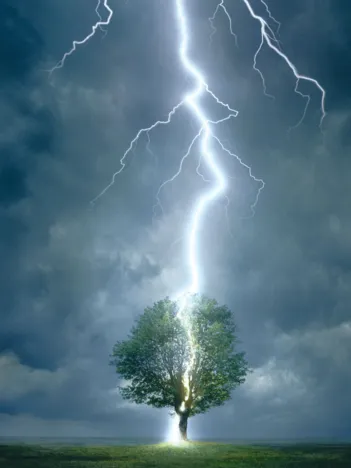 Produit Foudre frappant un arbre Image