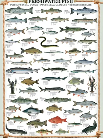 Produit Poissons d'eau douce Image