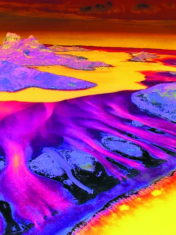 Produit Save the Planet Collection - Récif de Corail Image