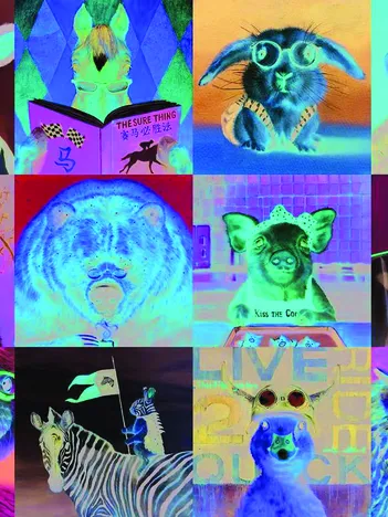 Produit Funny Animals Image