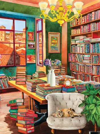 Produit L'ancienne bibliothèque Image