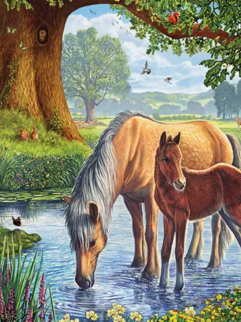 Produit Steve Crisp - The Fell Ponies Image