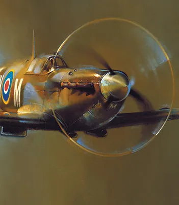 Produit Spitfire by Barrie A.F. Clark Image