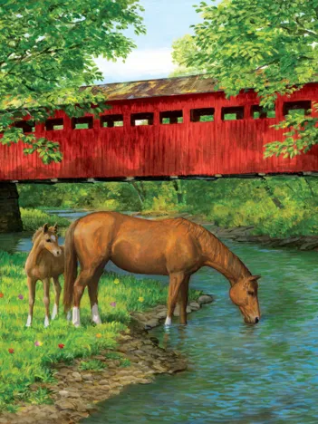 Produit Sweet Water Bridge Image