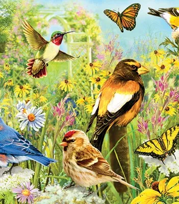 Produit Oiseaux de Jardin Image