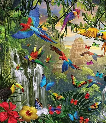 Produit Pièces XXL - Paradis des Oiseaux Tropicaux Image