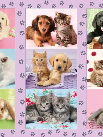 Produit Mes Amis les Animaux Image