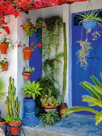 Produit Porte d'entrée méditerranéenne Image