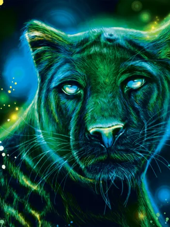 Produit Panthère Fluo Image