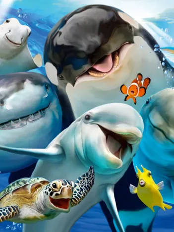 Produit Amis Marins Image