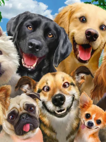 Produit Dogs' Selfy Image