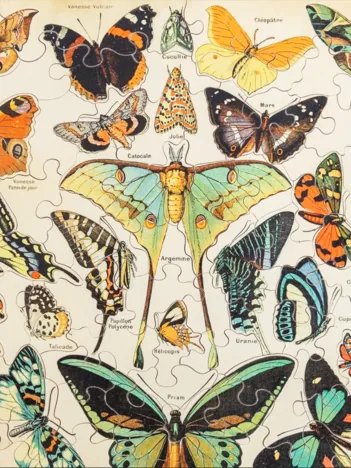 Produit Puzzle en Bois Découpé à la Main - Papillons Image