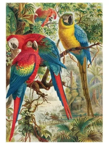 Produit Puzzle en Bois Découpé à la Main - Perroquets De Brehm Image