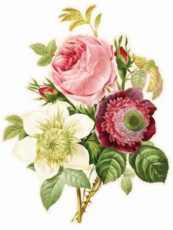 Produit Puzzle en Bois Découpé à la Main - Rose, Anémone Et Clématite Image