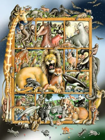 Produit Pièces XXL - Animaux sur l'Étagère Image