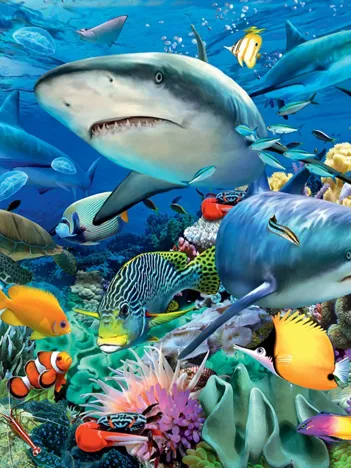 Produit Pièces XXL - Requin Image