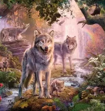 Produit La Famille Des Loups En Été Image