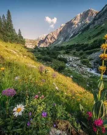 Produit Dans Le Jardin D'Éden Image
