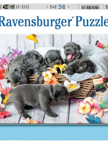 Produit 2 Puzzles - Petites boules de poils Image