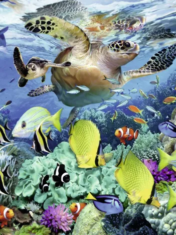 Produit Monde Sous-Marin Image