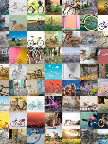 Produit 99 Vélos et Plus... Image