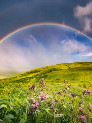 Produit Un Arc-en-Ciel Spectaculaire Image