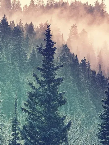 Produit Puzzle Moment - Wood Image