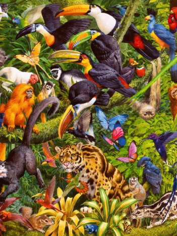 Produit Pièces XXL - Jungle Colorée Image