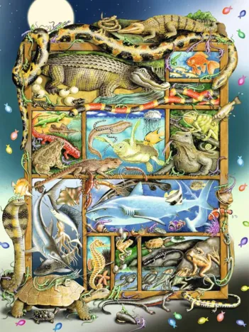 Produit Pièces XXL - Reptiles sur l'Étagère Image