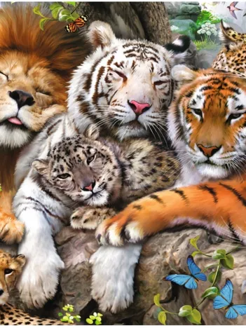 Produit Pièces XXL - Big Cat Nap Image