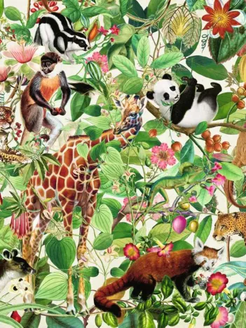 Produit Jungle Image