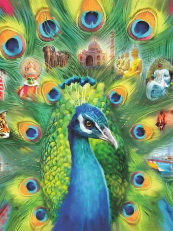 Produit Au Pays des Paons Image