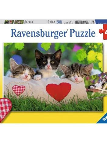 Produit 2 Puzzles - Sieste des Chatons Image